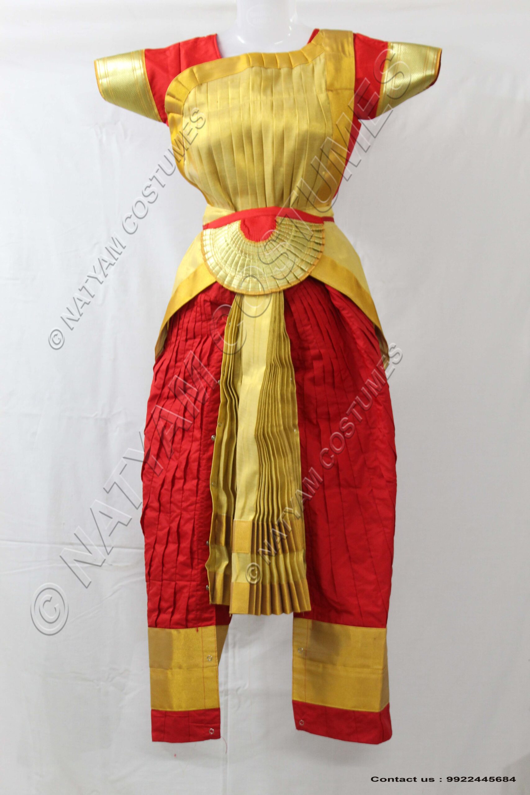 Red and Tissue Gold bharatanatyam dress