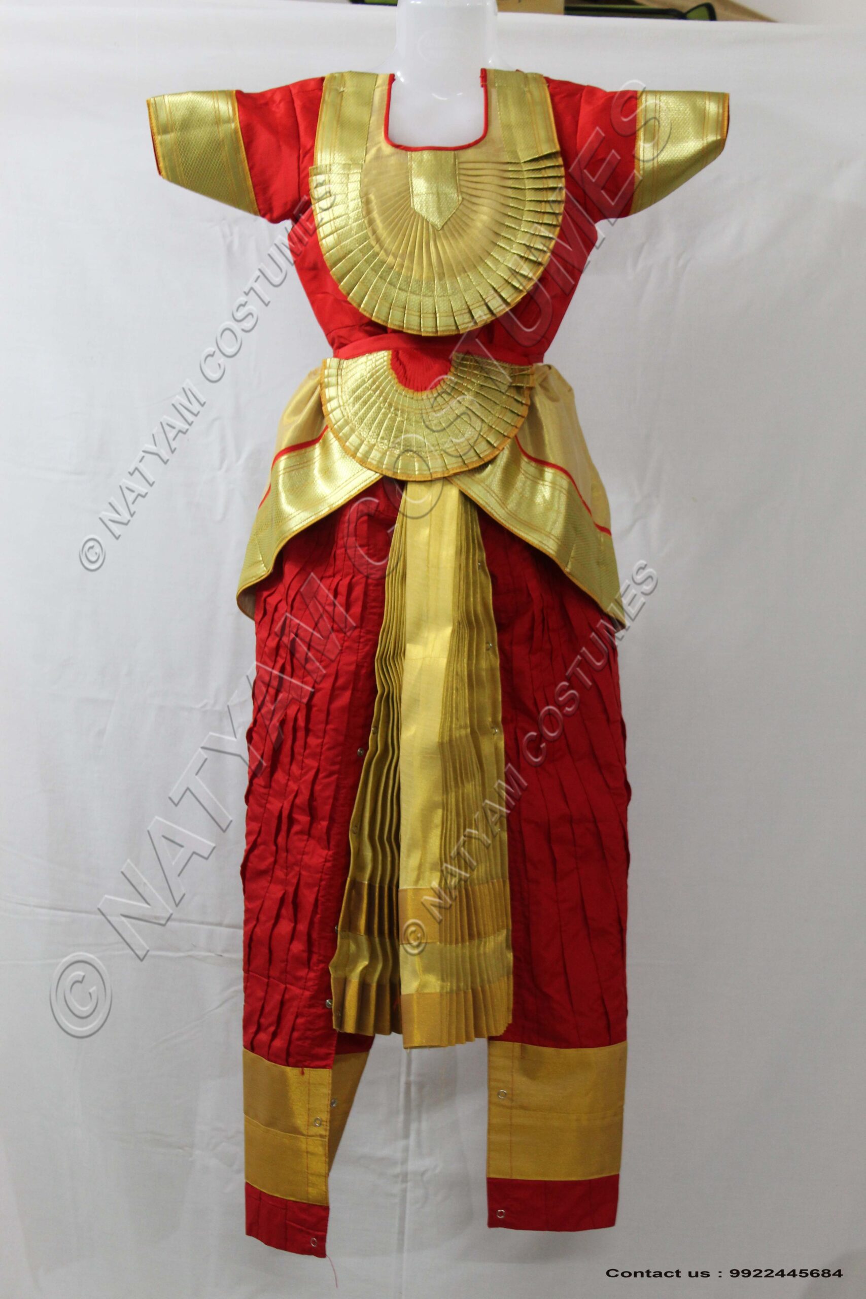 Red and Tissue Gold bharatanatyam dress