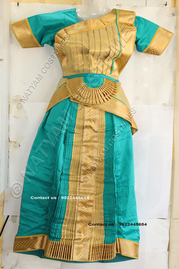 Sky Blue and Tissue Gold bharatanatyam dress